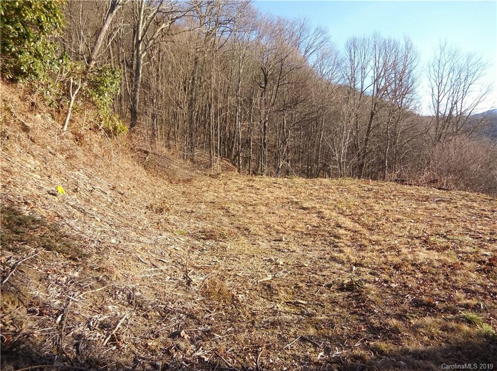 Lot 3-2b Off Scenic View Road Maggie Valley, NC 28751 - Photo 5 of 36 Gallery Image 5