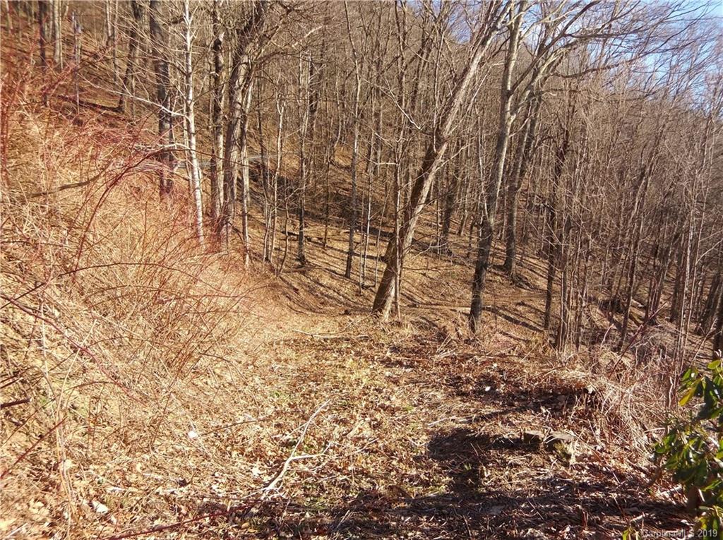Lot 3-2b Off Scenic View Road Maggie Valley, NC 28751 - Photo 6 of 36 Gallery Image 6