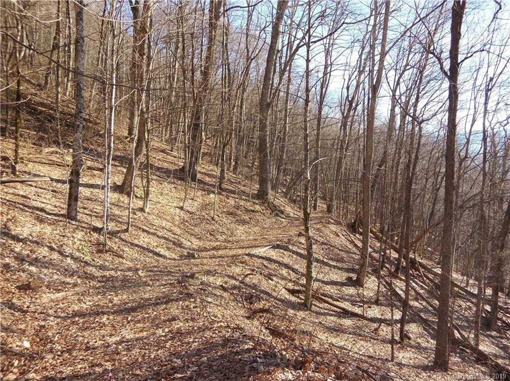 Lot 3-2b Off Scenic View Road Maggie Valley, NC 28751 - Photo 7 of 36 Gallery Image 7