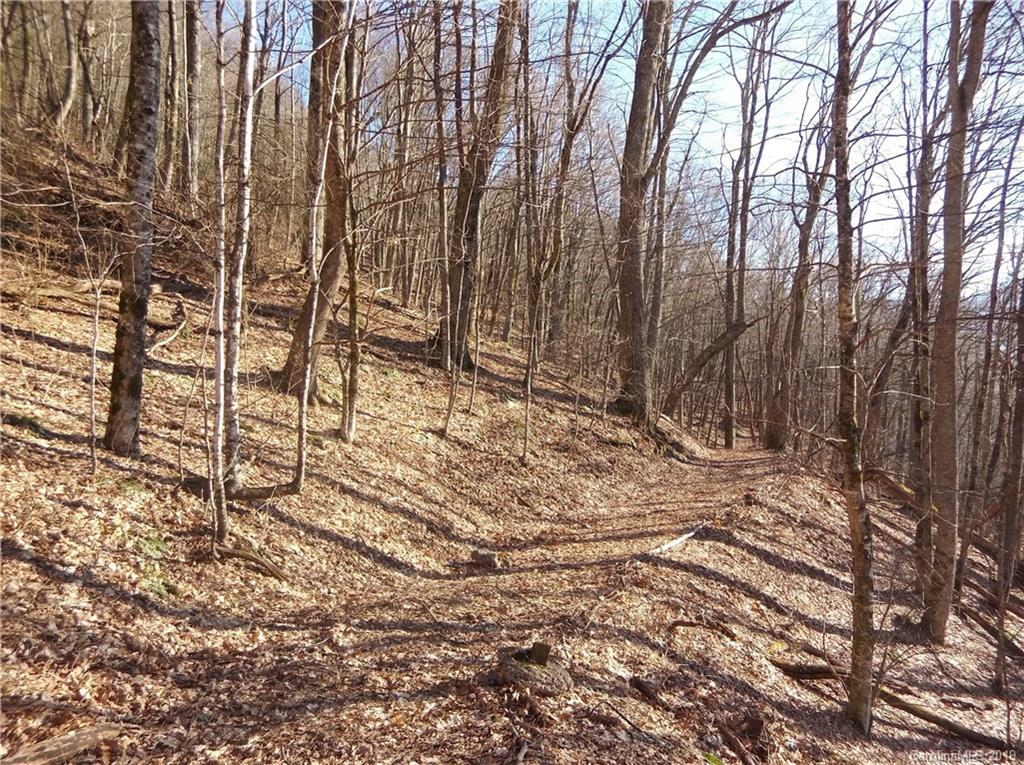 Lot 3-2b Off Scenic View Road Maggie Valley, NC 28751 - Photo 8 of 36 Gallery Image 8