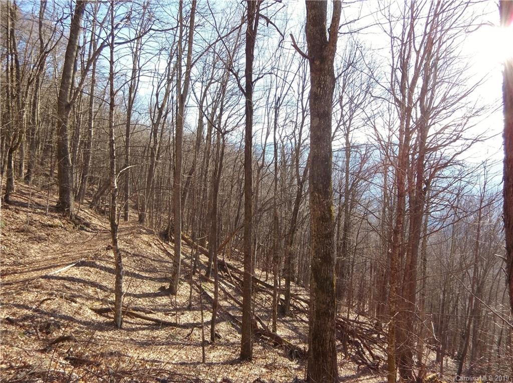 Lot 3-2b Off Scenic View Road Maggie Valley, NC 28751 - Photo 10 of 36 Gallery Image 10