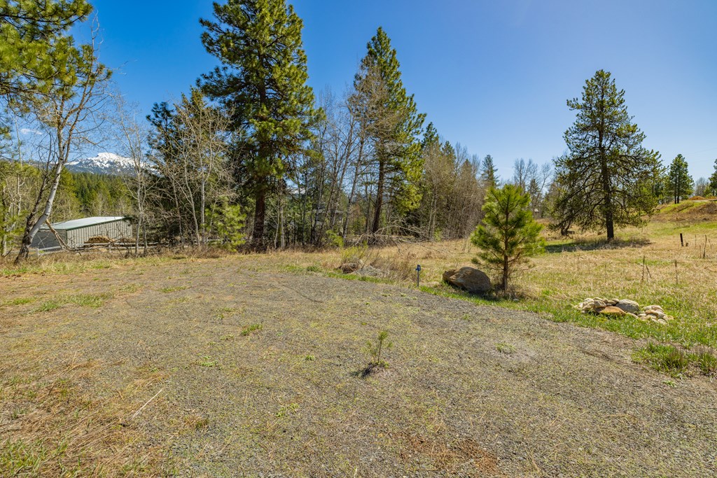 Tbd Morell Road McCall, ID 83638 - Photo 4 of 22