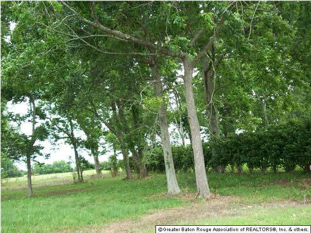 10233 Jack Torres Road Maringouin, LA 70757 - Photo 1 of 13 Gallery Image 1