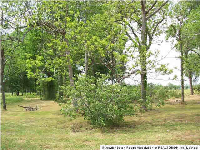 10233 Jack Torres Road Maringouin, LA 70757 - Photo 3 of 13 Gallery Image 3