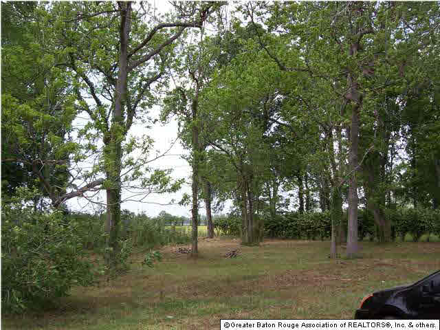 10233 Jack Torres Road Maringouin, LA 70757 - Photo 4 of 13 Gallery Image 4