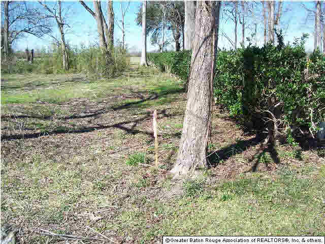10233 Jack Torres Road Maringouin, LA 70757 - Photo 6 of 13 Gallery Image 6