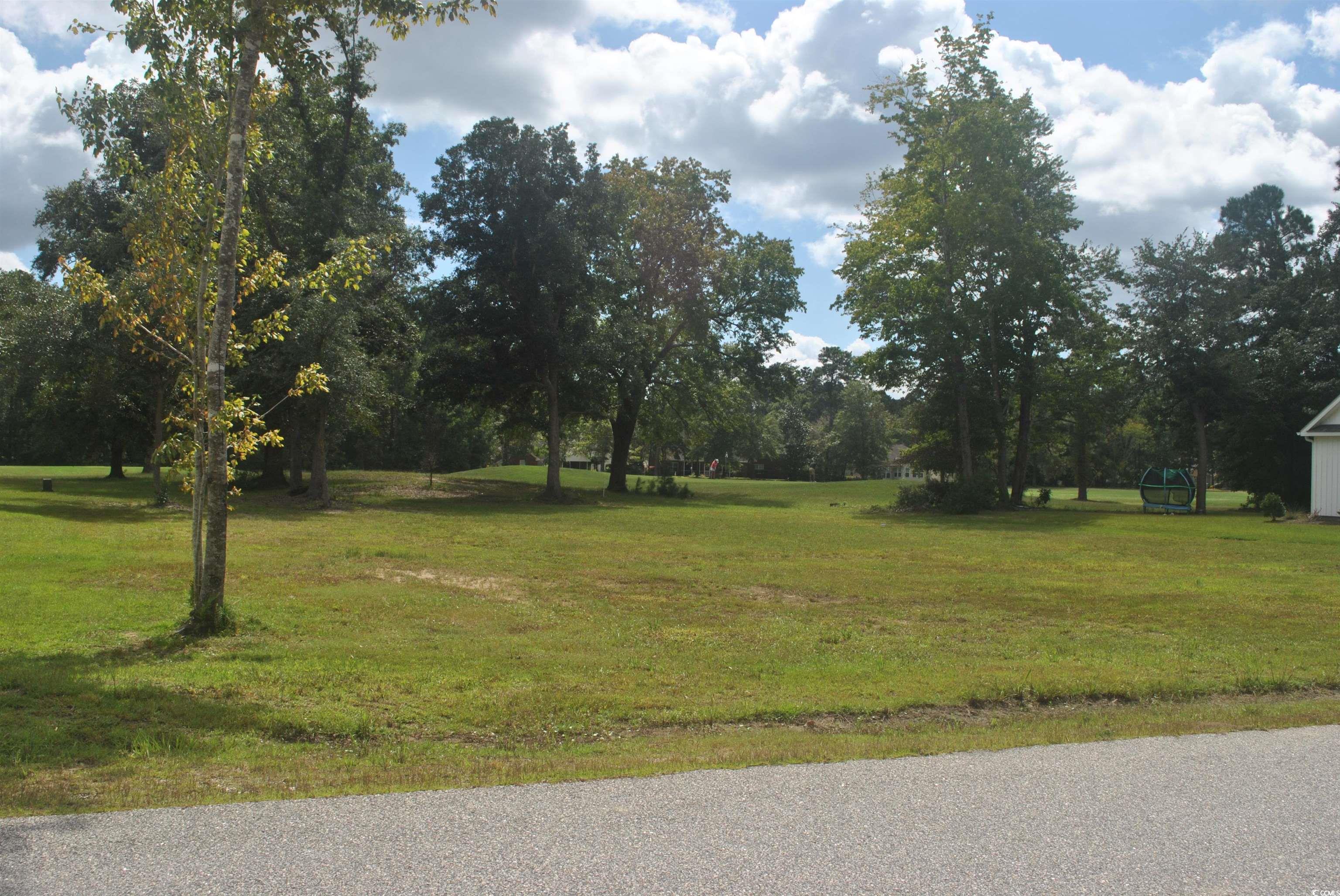 Tbd Francis Parker Road Georgetown, SC 29440 - Photo 1 of 3 Gallery Image 1
