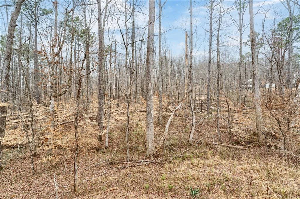 555 Lower Birmingham Road Canton, GA 30115 - Photo 25 of 93