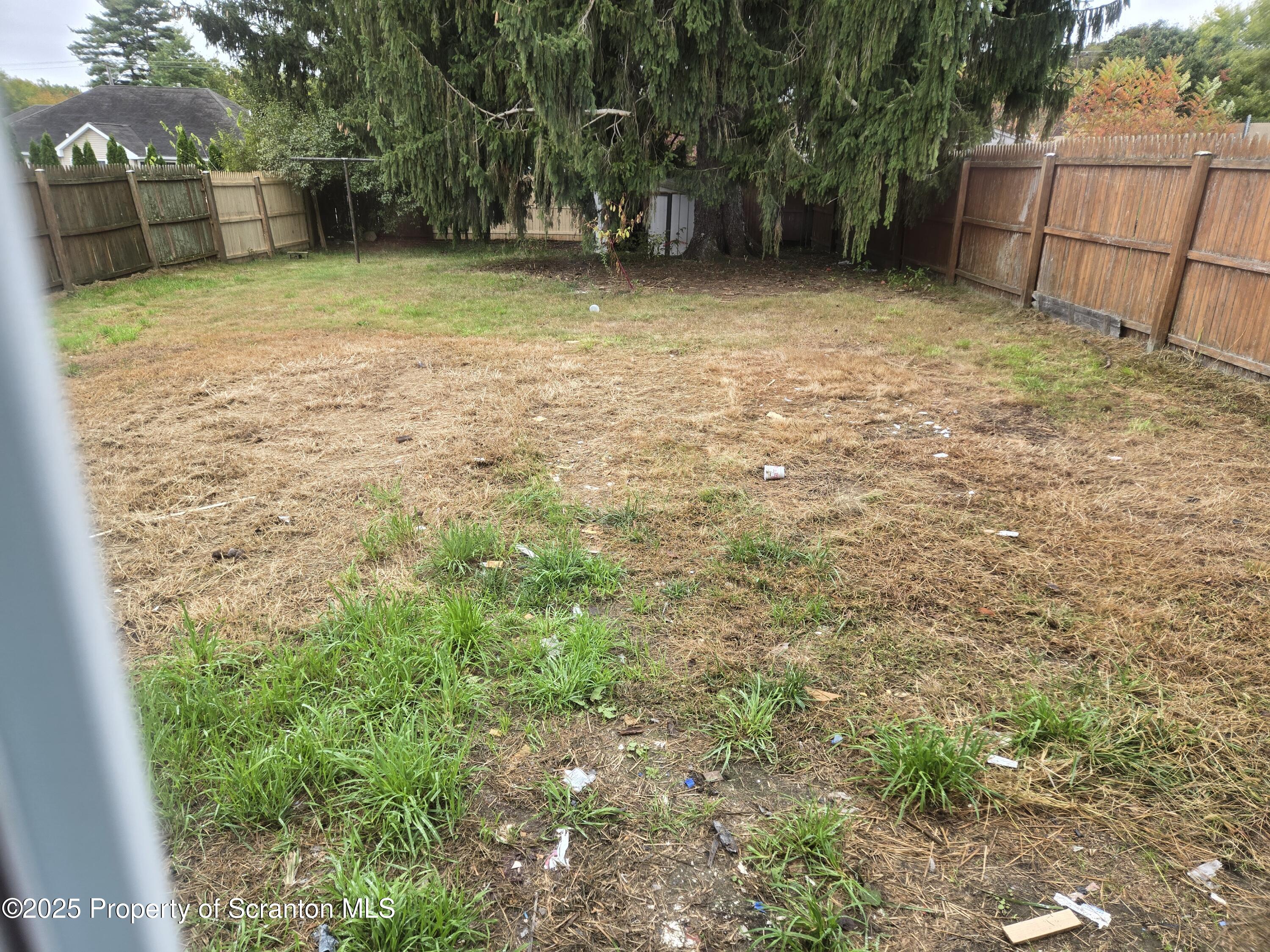 116 Wright Street Duryea, PA 18642 - Photo 14 of 14 a view of a yard with a tree