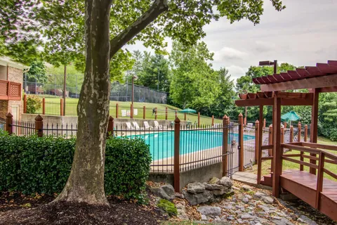 a view of a backyard