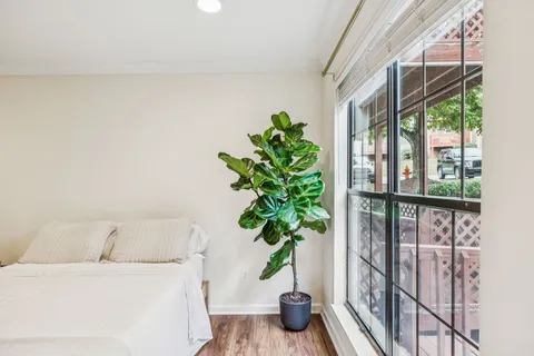 a potted plant sitting in front of a window