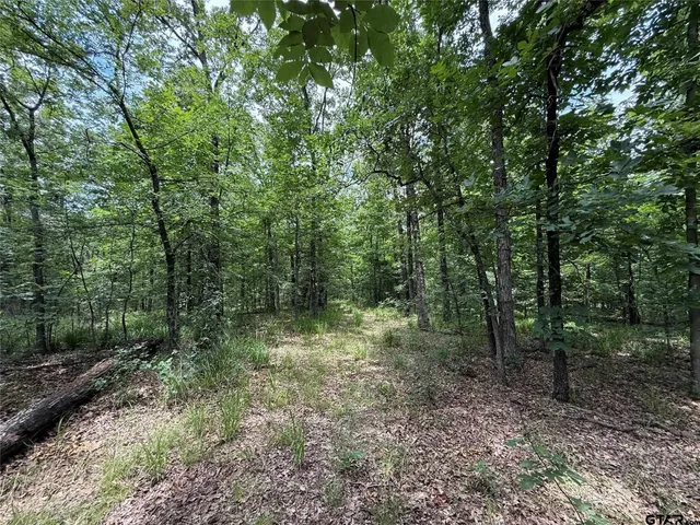 $424,000 | 15195 West Farm Road 71, Sulphur Bluff, TX 75481