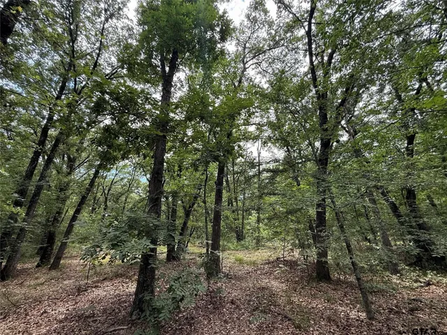 $424,000 | 15195 West Farm Road 71, Sulphur Bluff, TX 75481