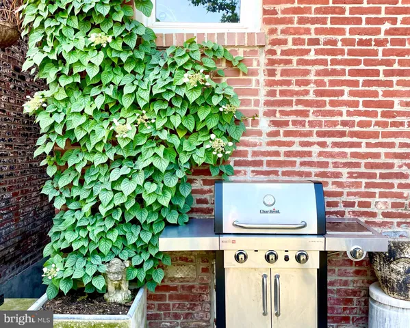 a view of a wall with plants
