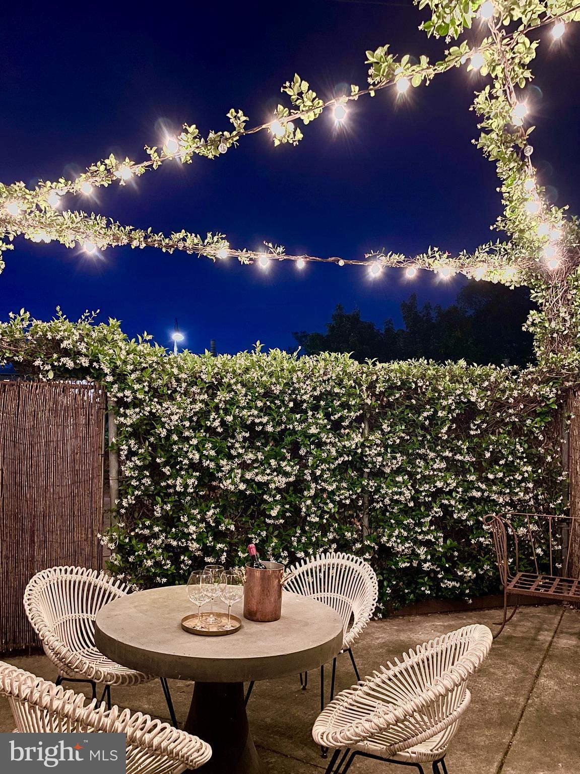 309 Elm Street Northwest Washington, DC 20001 - Photo 42 of 106 Private rear patio