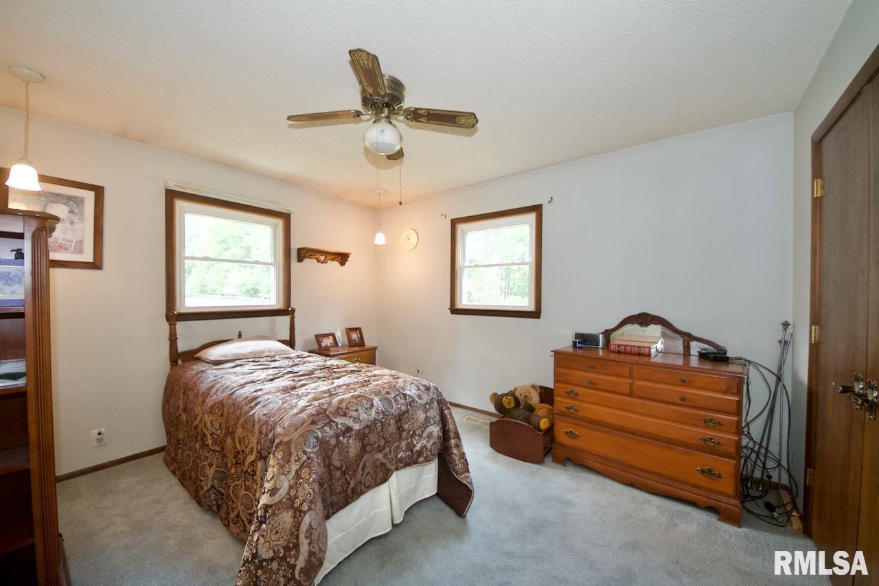 233 Pump House Road Murphysboro, IL 62966 - Photo 21 of 42