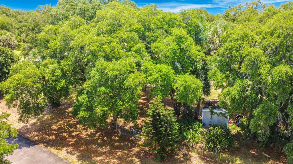 420 Nina Road Northeast Palm Bay, FL 32907 - Photo 81 of 90