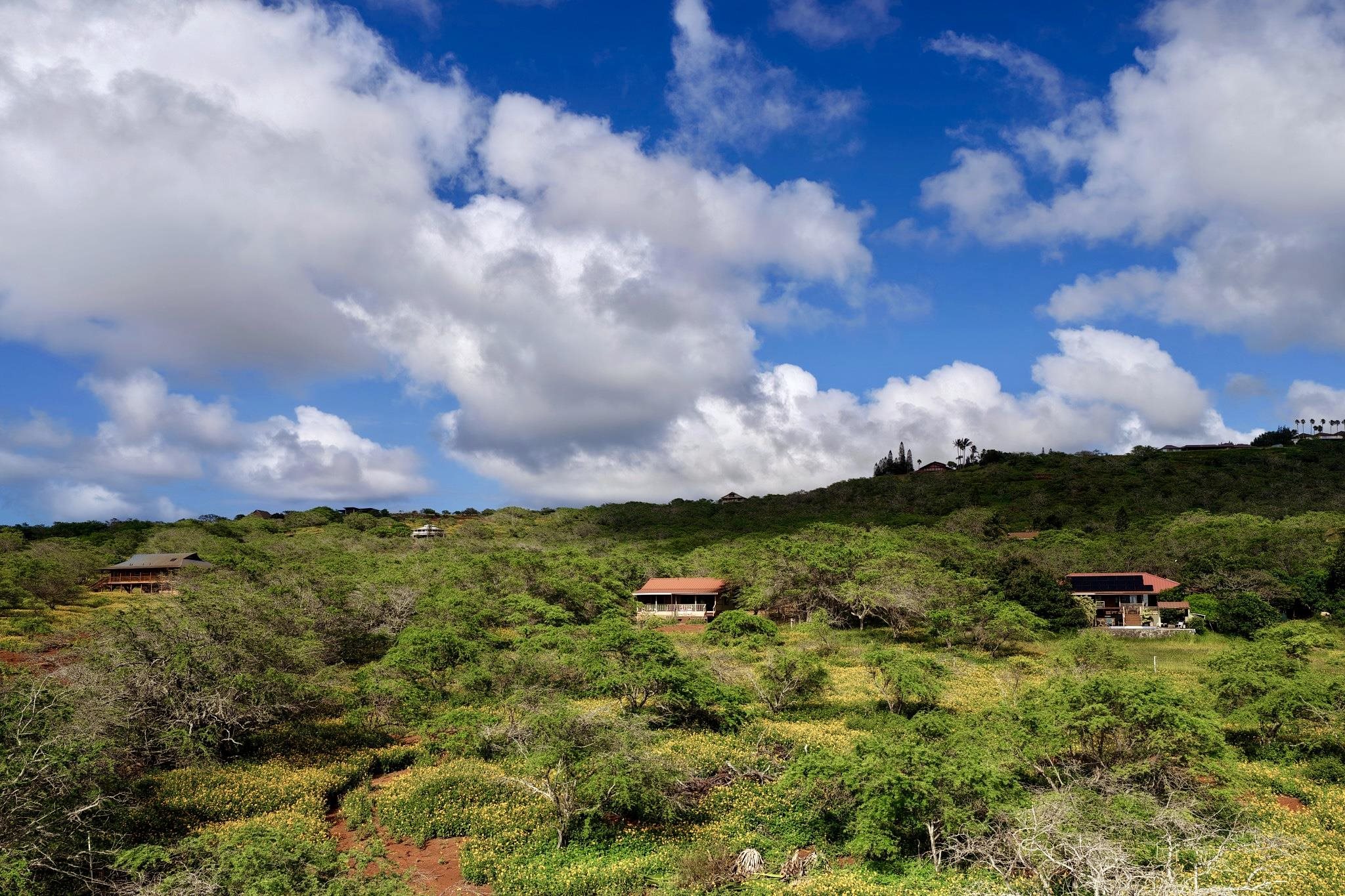 94 Noho Lio Road, Unit 157 Maunaloa, HI 96770 - Photo 28 of 38