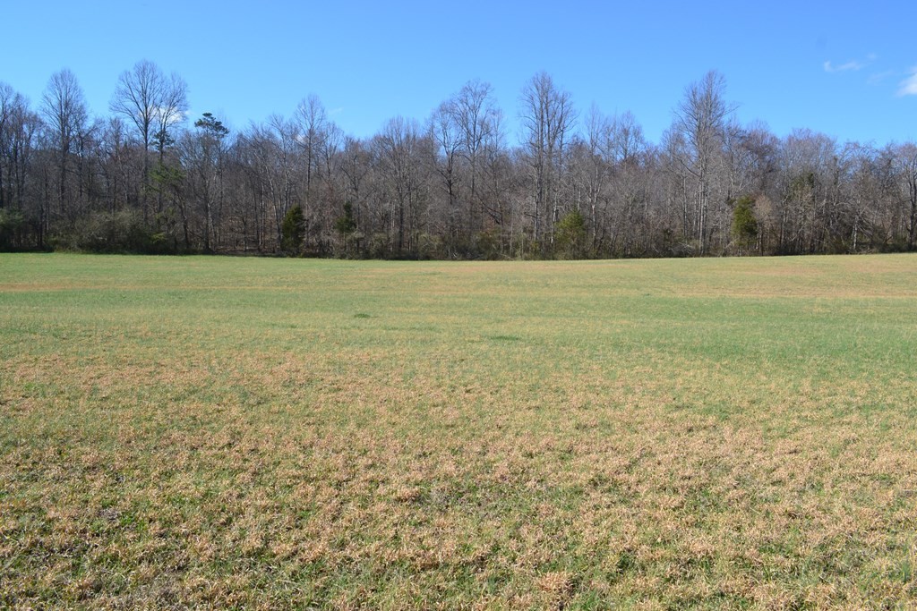 0 Tipton Station Road Knoxville, TN 37920 - Photo 5 of 12