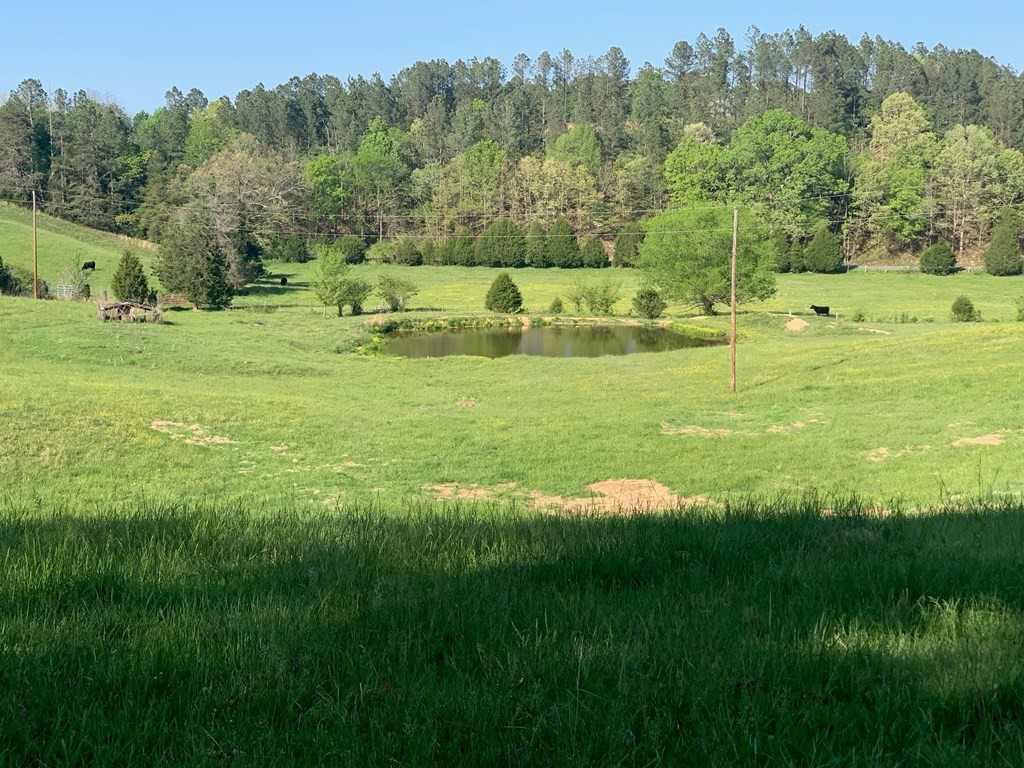 1051 Tom Garrison Road Evensville, TN 37332 - Photo 21 of 23 Gallery Image 21