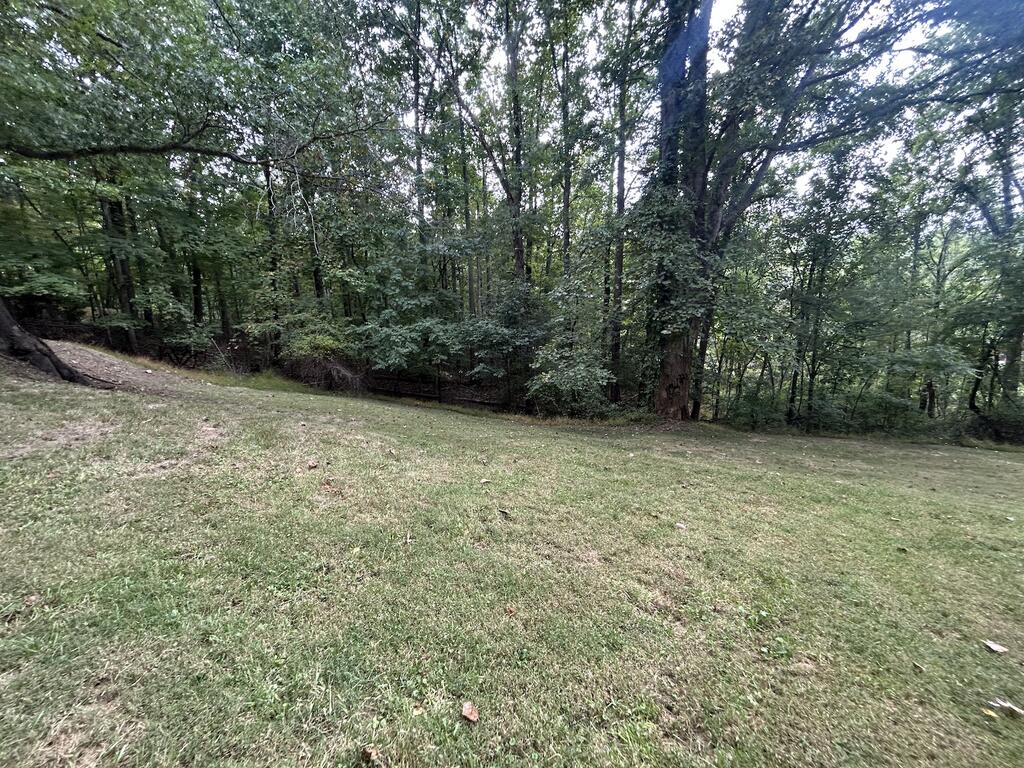 181 Slide Mountain Road Bland, VA 24315 - Photo 29 of 35 Gallery Image 29
