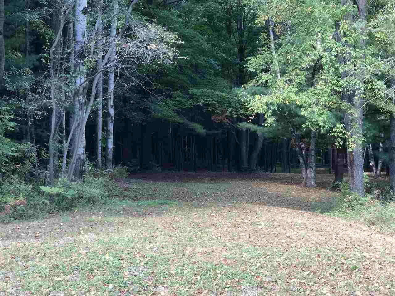 4335 Wheeler Road Snover, MI 48472 - Photo 9 of 32