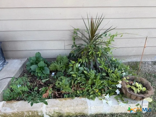 a plant with a plant in front of it