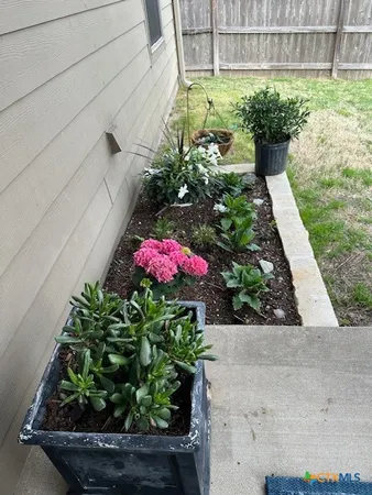 a view of a garden with flowers