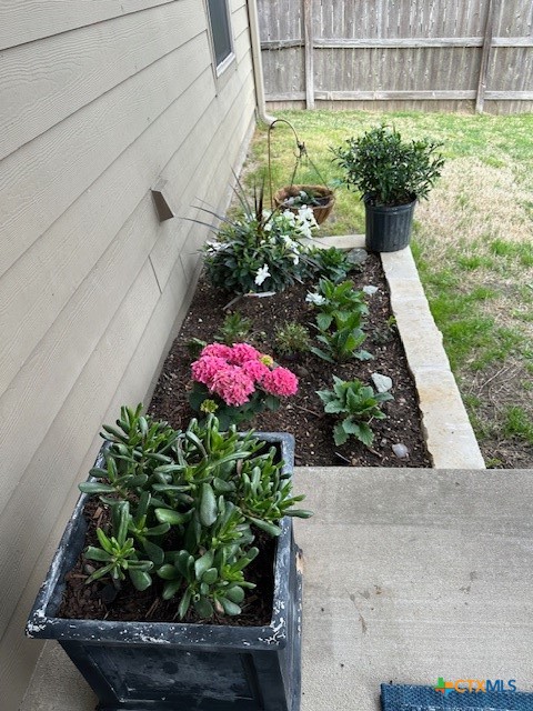 412 Dandridge Drive Temple, TX 76502 - Photo 41 of 44 a view of a garden with flowers