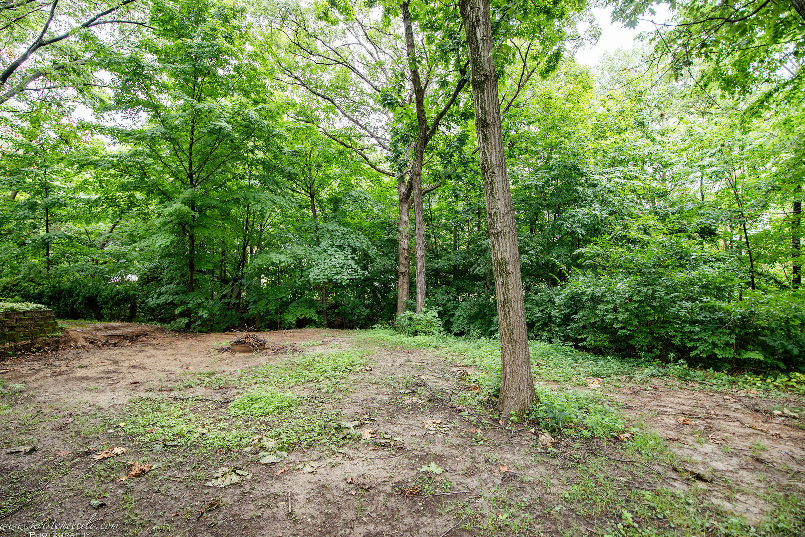 5 Inverness Drive Bourbonnais, IL 60914 - Photo 77 of 90 a view of a forest with trees in the background
