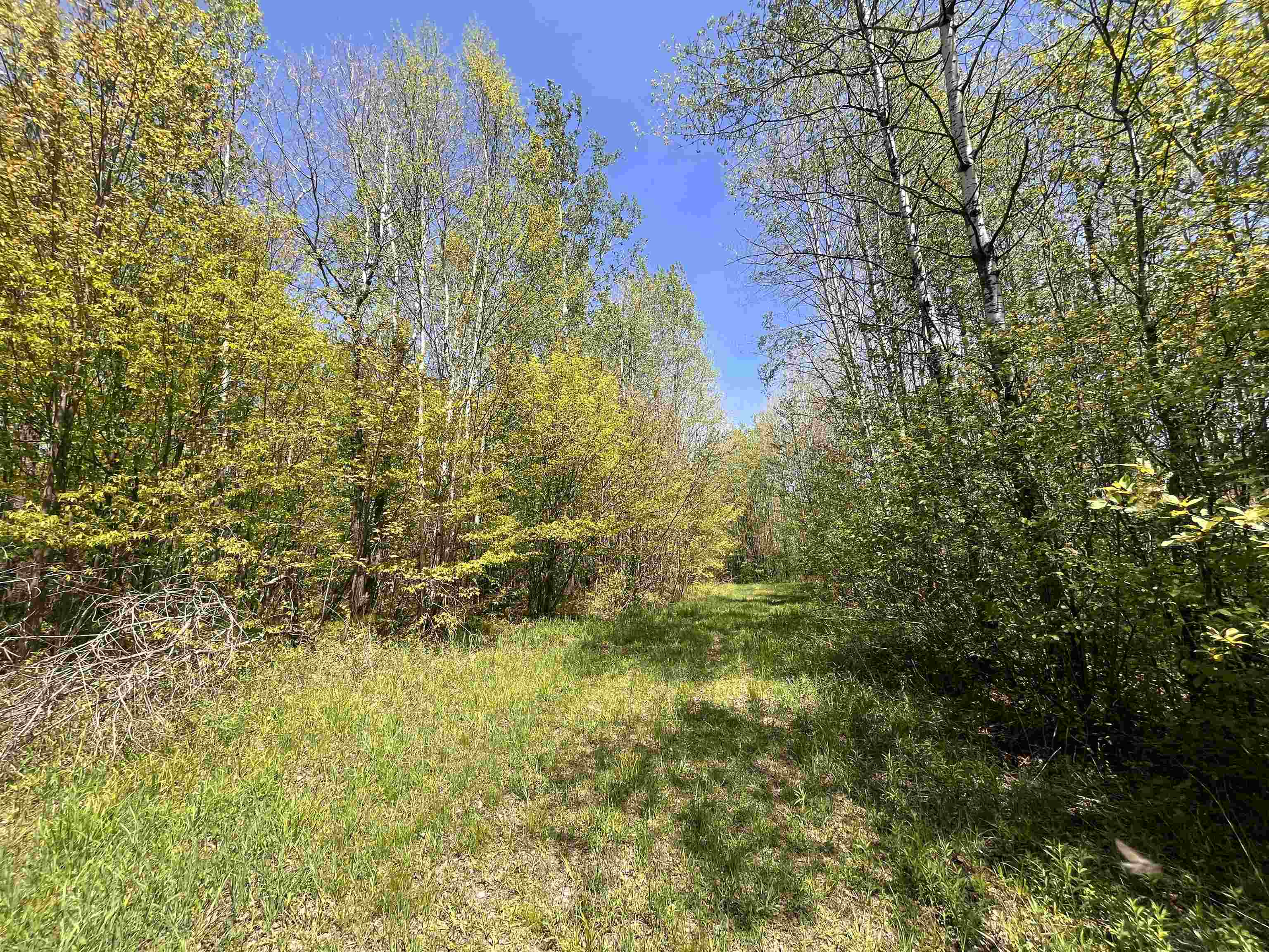 80-acres 80-acres Clausen Road Prentice, WI 54556 - Photo 17 of 17