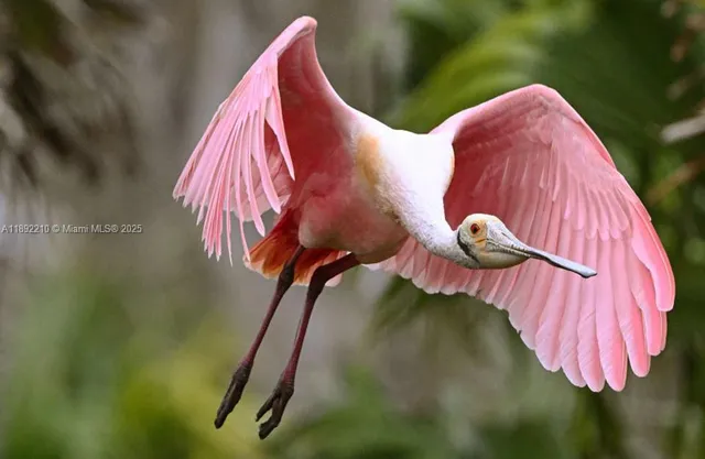 a blue sign that is on the wall of a building