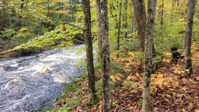 0 Lawrence Road Wellington, ME 04942 - Photo 24 of 25 cp6