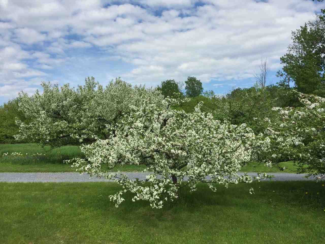 3594 South Road Williston, VT 05495 - Photo 11 of 36