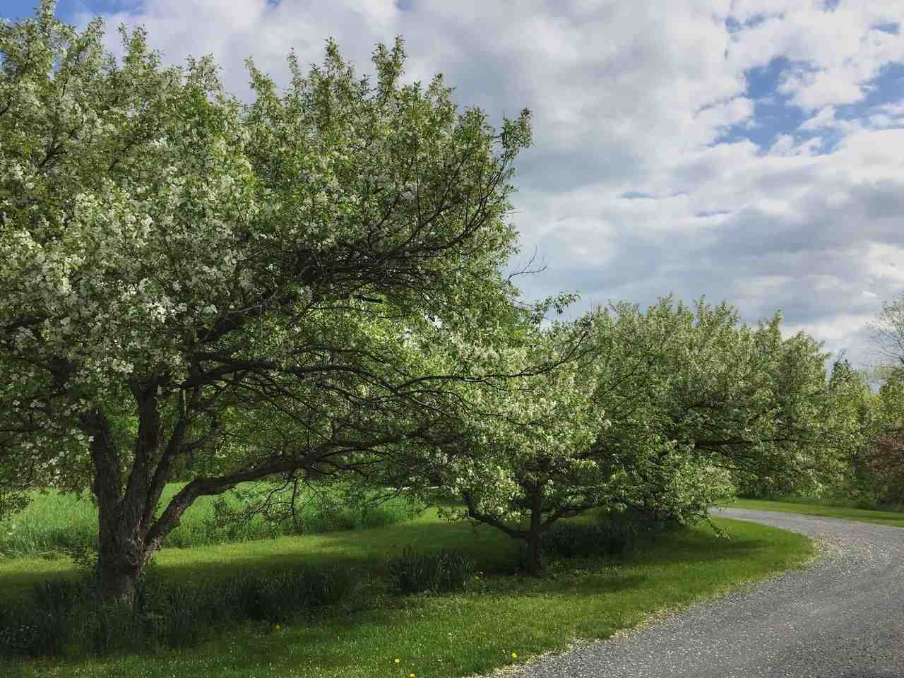 3594 South Road Williston, VT 05495 - Photo 23 of 36