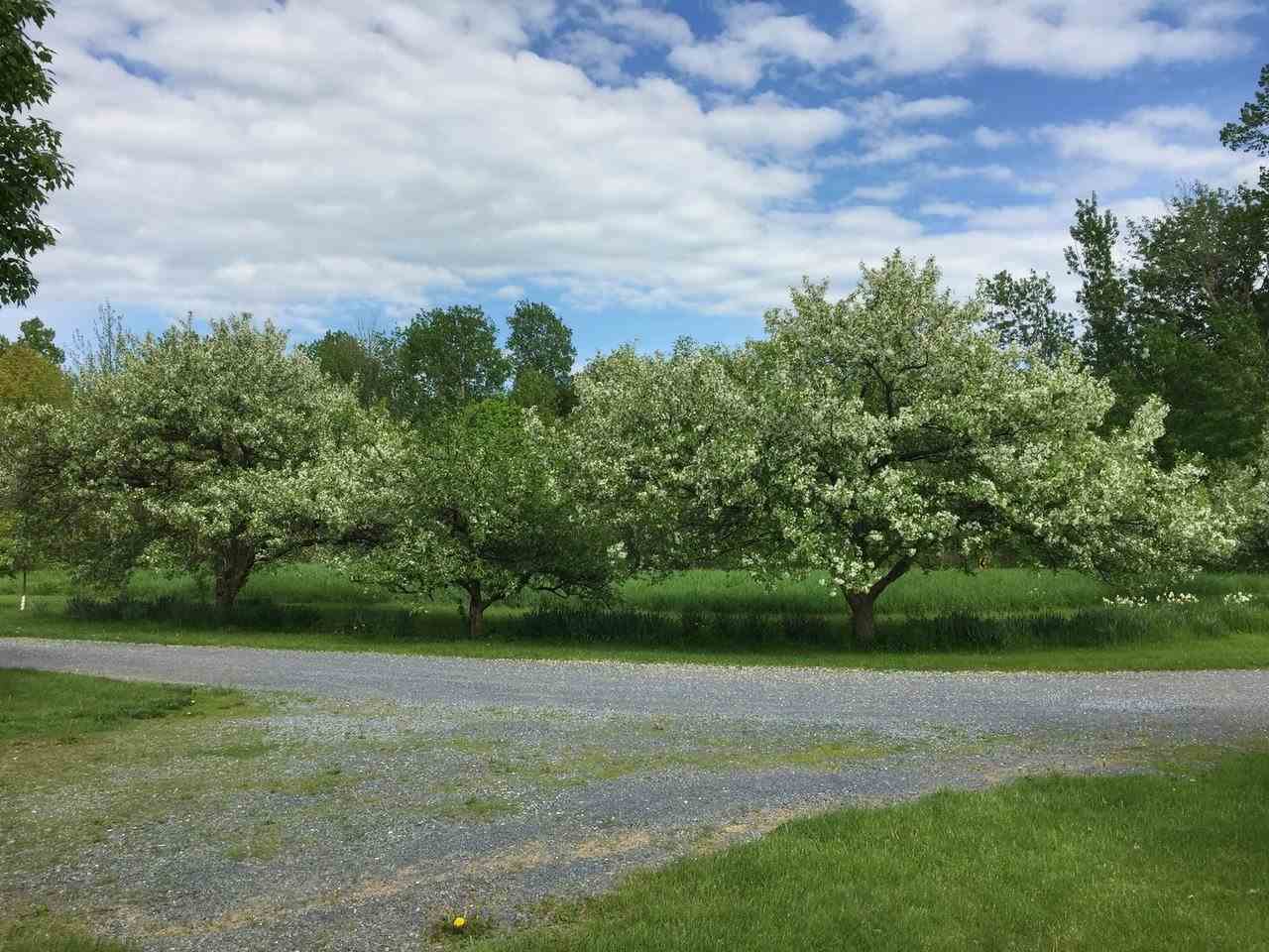 3594 South Road Williston, VT 05495 - Photo 35 of 36