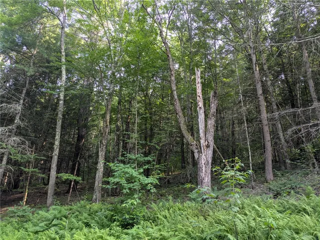 $37,500 | Lot 29 Peters Lane, Gilboa, NY 12076