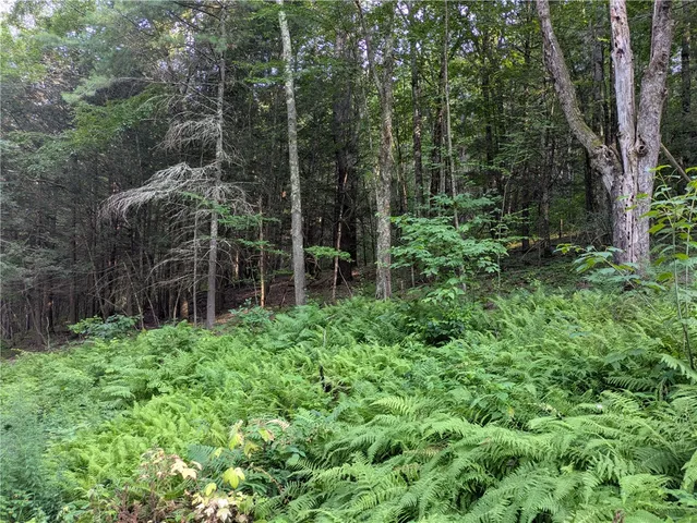 $37,500 | Lot 29 Peters Lane, Gilboa, NY 12076