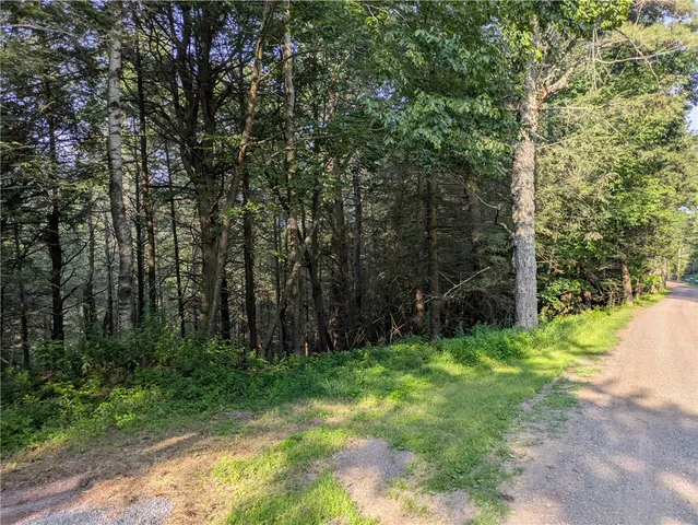 $37,500 | Lot 29 Peters Lane, Gilboa, NY 12076