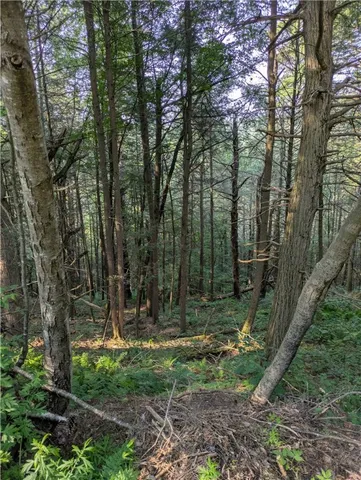 $37,500 | Lot 29 Peters Lane, Gilboa, NY 12076