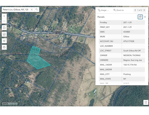 $37,500 | Lot 29 Peters Lane, Gilboa, NY 12076
