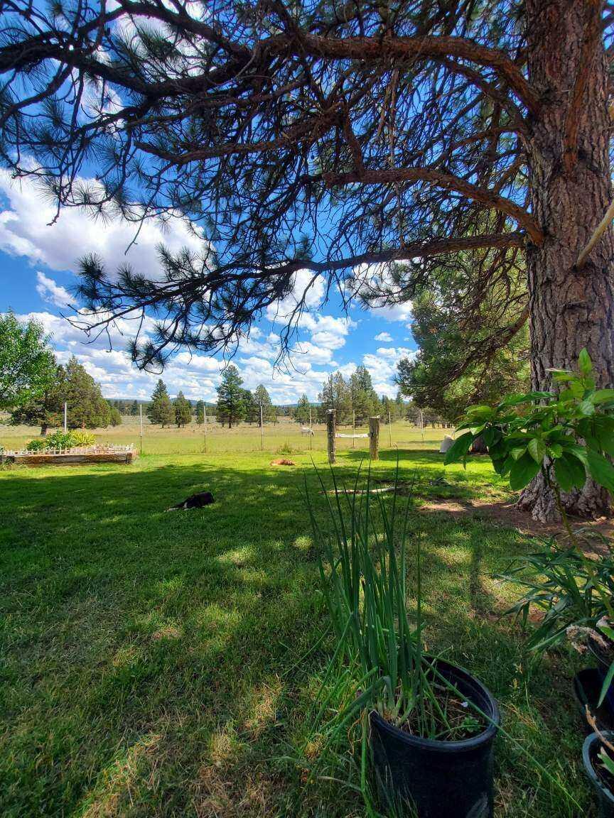 17703 Fishhole Creek Road Bly, OR 97622 - Photo 21 of 34 IMG-20260330-WA0010