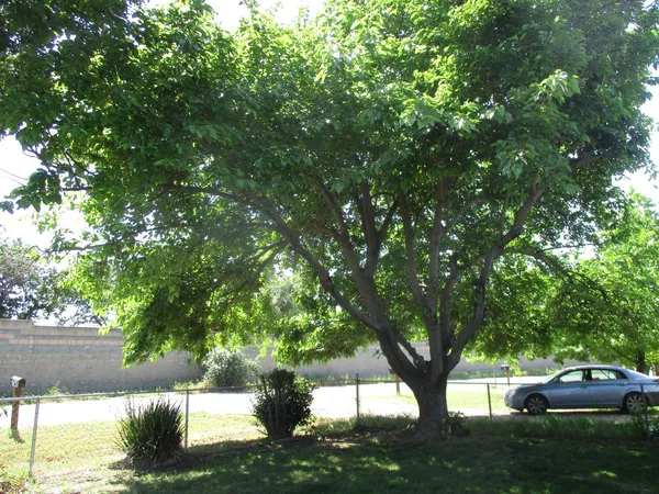 $379,900 | 2125 Harris Avenue, Sacramento, CA 95838