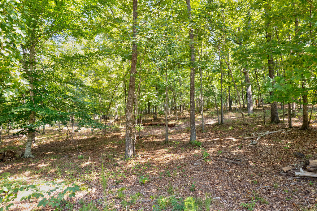 7.58-ac James Ed Road Gainesville, GA 30506 - Photo 6 of 22 Gallery Image 6