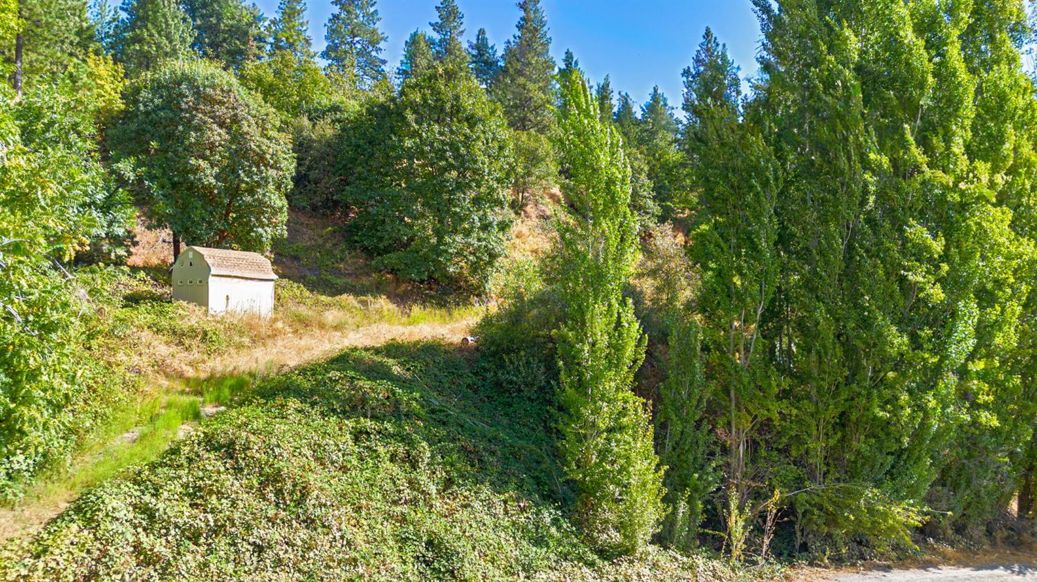 4921 8 Mile Road Camino, CA 95709 - Photo 13 of 35 a backyard of a house with lots of green space and trees all around