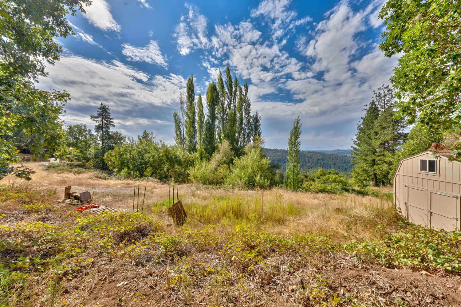 4921 8 Mile Road Camino, CA 95709 - Photo 16 of 35 a view of a yard with plants and large trees