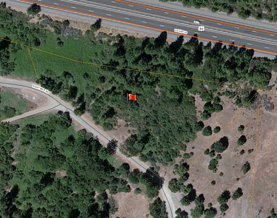 4921 8 Mile Road Camino, CA 95709 - Photo 2 of 35 a view of a yard with a lot of plants