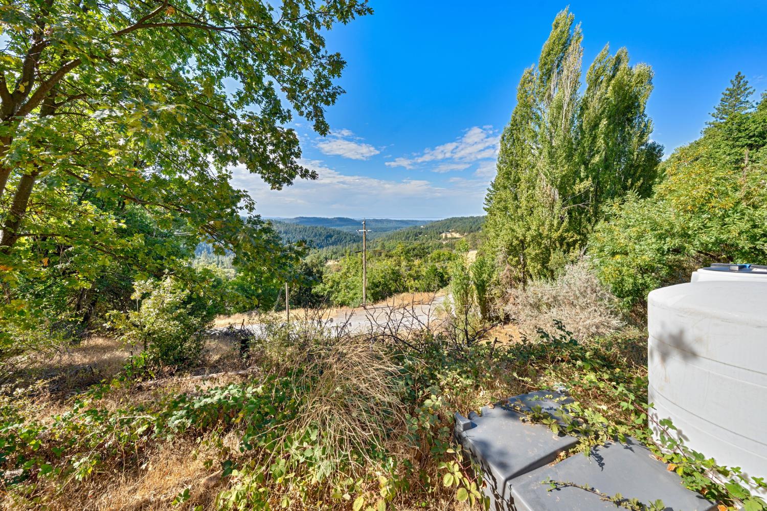 4921 8 Mile Road Camino, CA 95709 - Photo 23 of 35 a view of a yard with plants