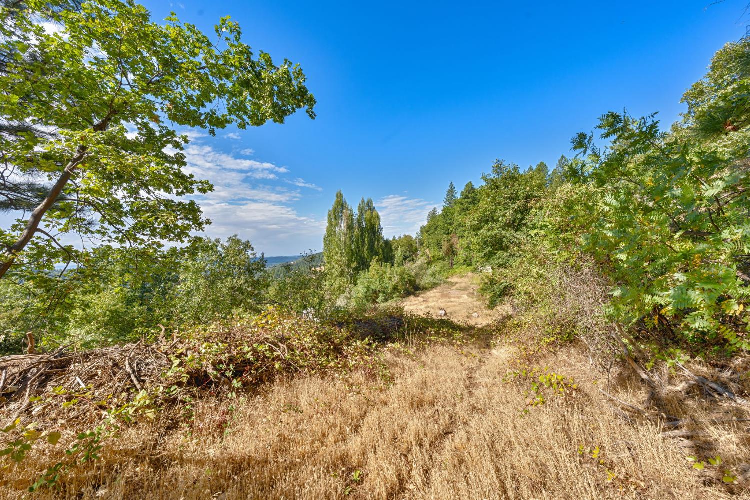 4921 8 Mile Road Camino, CA 95709 - Photo 24 of 35 a view of a garden
