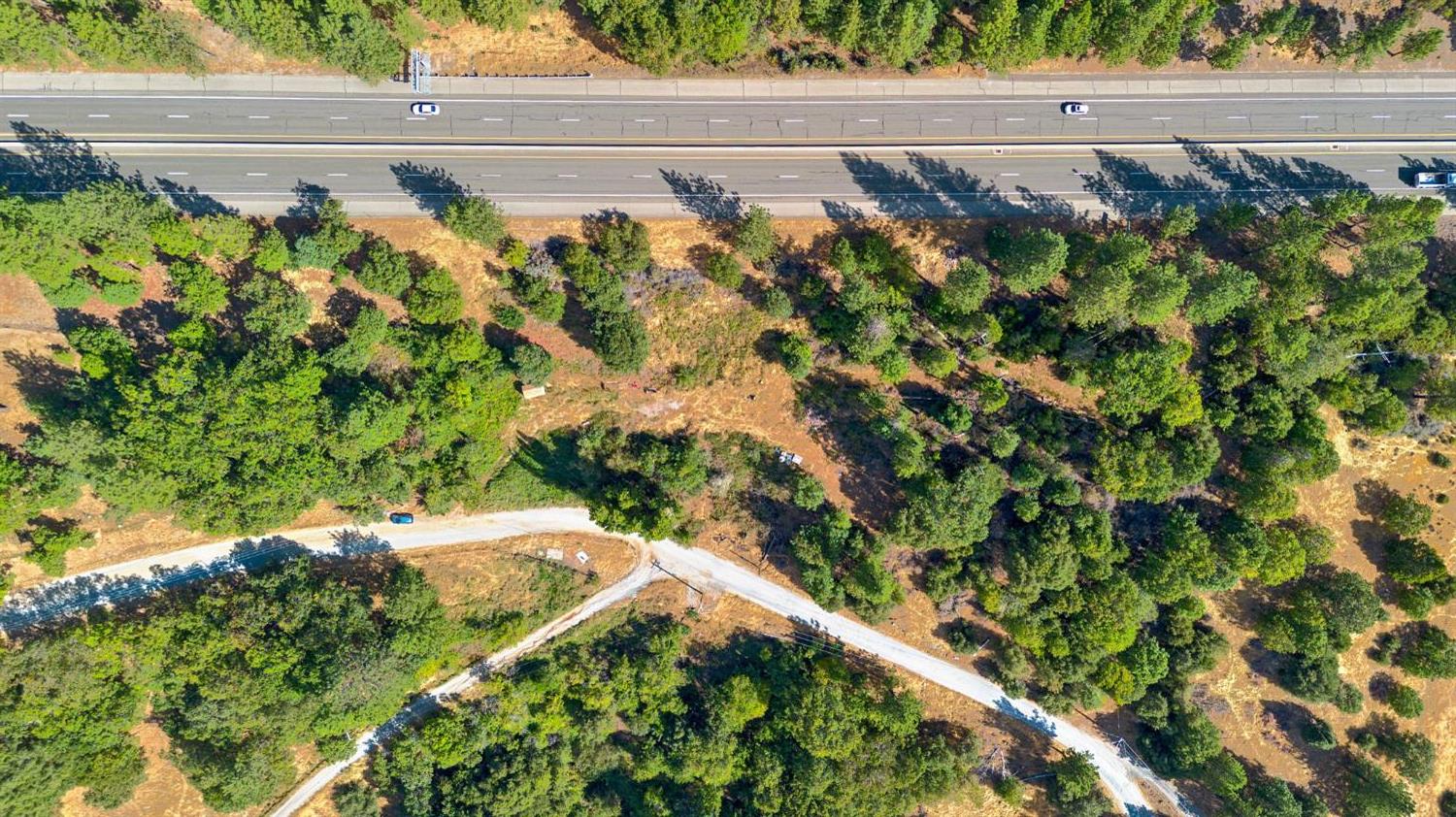 4921 8 Mile Road Camino, CA 95709 - Photo 3 of 35 a view of a garden with flowers